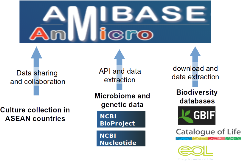 AmiBase data collection approach